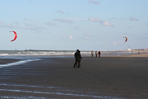 DePanne (9)